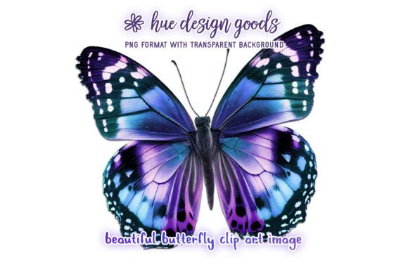 Download Beautiful Blue and Purple Butterfly - Premium Resources