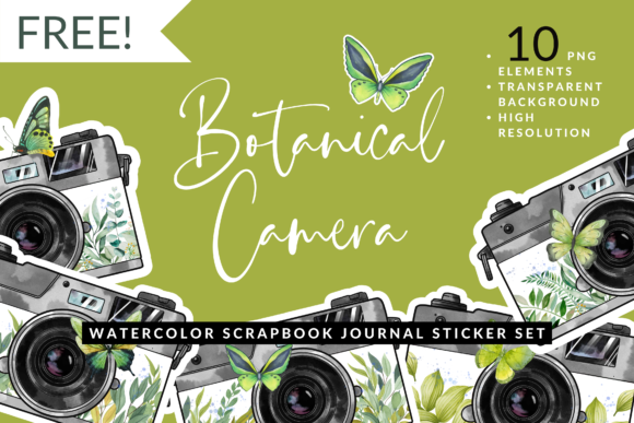 Download Watercolor Leaf Butterfly Camera Sticker - Butterfly Collection